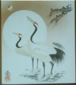 ���N���̐F���z