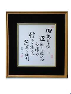 �v���싅�z