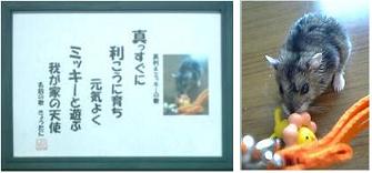 ���q�l���O�́��摜�t��